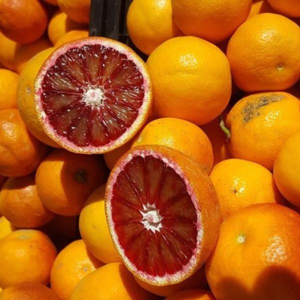 Blutorangen aus Sizilien - Sorte: Tarocco